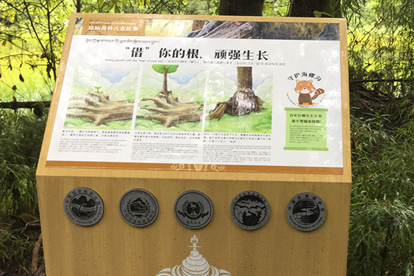 標識 標識